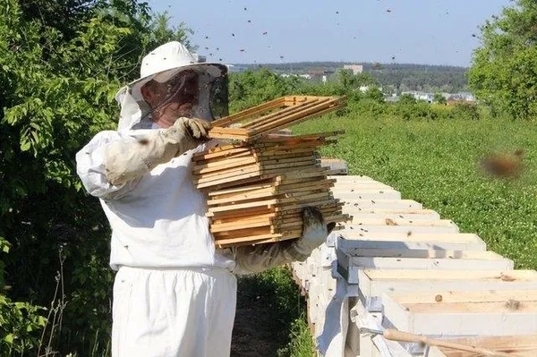 Kilogramı 4 bin TL'den satılıyor-9