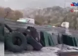 Yavru ayılar sanayi esnafını güldürdü