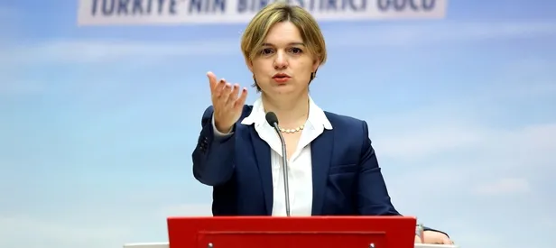 CHP'li Böke ABD elçisi ile görüşüp istifa etti