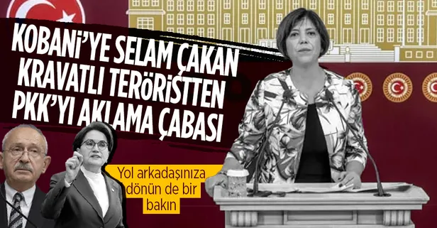 Pençe - Kılıç operasyonundan rahatsız olup Kobani'ye selam gönderen HDP'li Meral Danış Beştaş'ın önerge yalanı elinde patladı