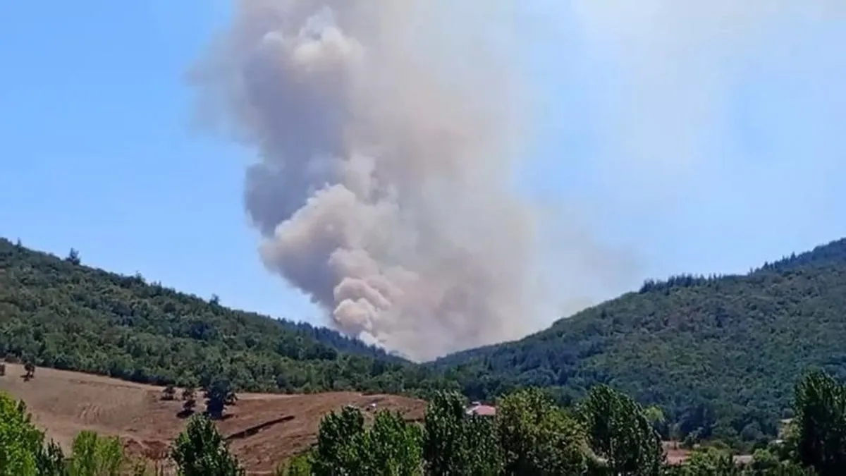 Bursa ve Çanakkale'de orman yangını! Havadan ve karadan müdahale