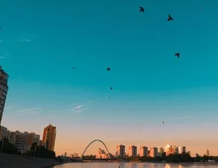 Kuş gribi görülmeyen ülke Kazakistan