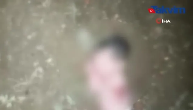 Bağcılar’da acı olay! Bahçede yeni doğmuş bebek bulundu