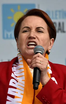 Meral Akşener'den teröre davetiye