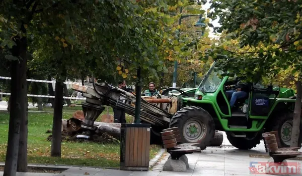 CHP'li İBB'den Gezi Parkı ve Gülhane'de doğa katliamı! Asırlık ağaçları köklerinden kestiler: Memleketi yangın yeri yapanların gerçek yüzü - 16