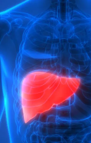 Karaciğerin rengi yeşil