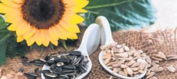 Kansere karşı ay çekirdeği