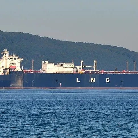 LNG ihracatı geçici olarak durduruldu