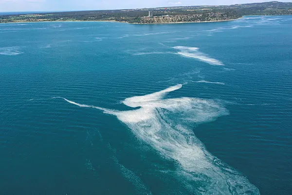Marmara'daki müsilaj Ege Denizi'ne yayılır mı?-1