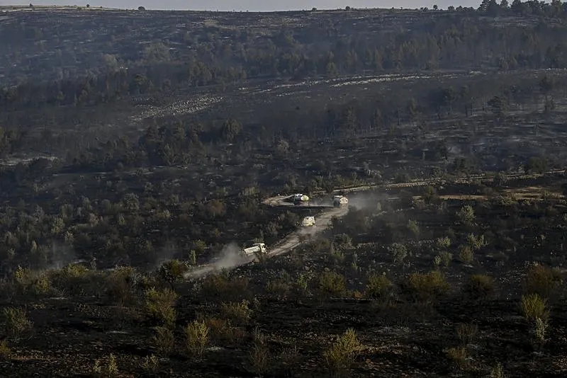 Ankara'da başladı Bolu'ya sıçradı! Gerede'deki orman yangını kontrol altına alındı-7
