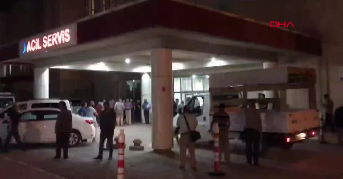 Muş'ta trafik kazası: 2 ölü, 5 yaralı