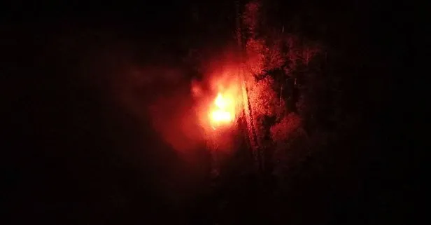 İstanbul Ataşehir’de ormanlık alanda araç yangını