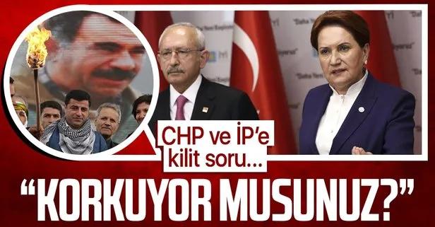 CHP ve İYİ Parti'ye: Demirtaş'tan korkuyor musunuz?