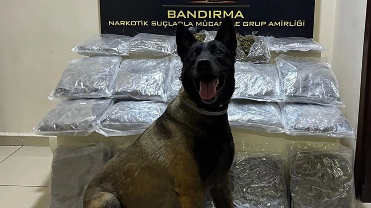 Balıkesir'de 11 Kilo 200 Gram Uyuşturucu Ele Geçirildi, İki Zanlı Tutuklandı