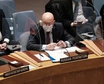 Ukrayna krizi BM Güvenlik Konseyi’ne sıçradı!