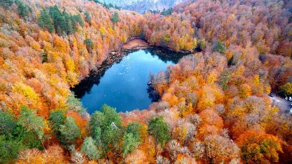 en-guzel-sonbahar-sozleri-sonbaharla-ilgili-romantik-sozler-arkadasa-sevgiliye-sonbahar-mesajlari-1600756201776.jpg En güzel sonbahar sözleri! Sonbaharla ilgili romantik sözler! Arkadaşa sevgiliye sonbahar mesajları!-5