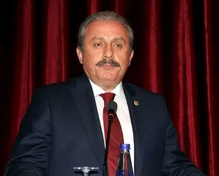 10 gün içinde Meclis’te