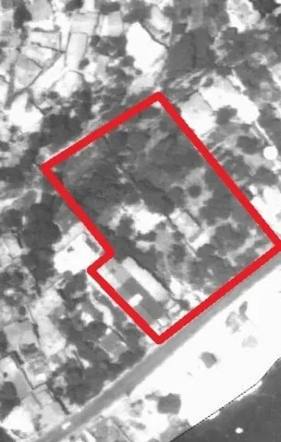 Kurul durdurdu, Koç Holding umursamadı! Tarihi alanda 14 türde 55 ağaç kestiler