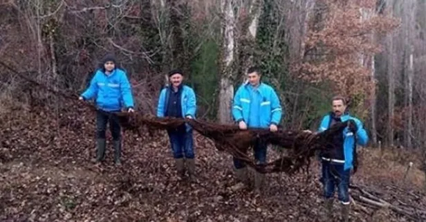 İçme suyu hattından çıktı!