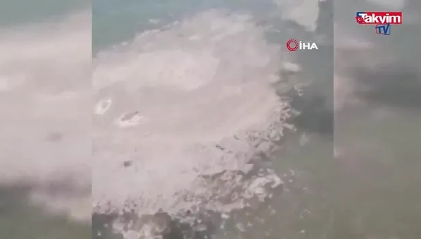 Büyükada açıklarında müsilaj benzeri kirlilik görüldü