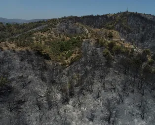 Son dakika: İzmirdeki orman yangını kontrol altına alındı