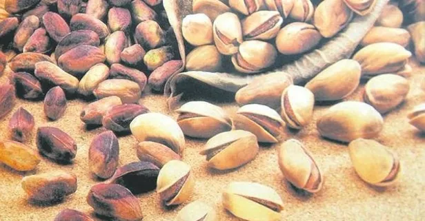 Fıstık gibi kalın