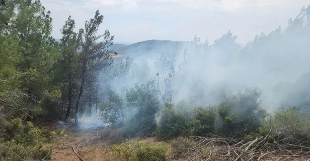 Çanakkale'de yıldırım sonrası orman yangını!