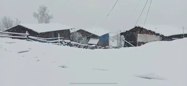 dogu-anadolu-degil-artvin-savsat-ve-ardanuca-mayista-kar-yagdi-1651755049934.jpg Doğu Anadolu değil! Artvin Şavşat ve Ardanuç'a mayısta kar yağdı-8