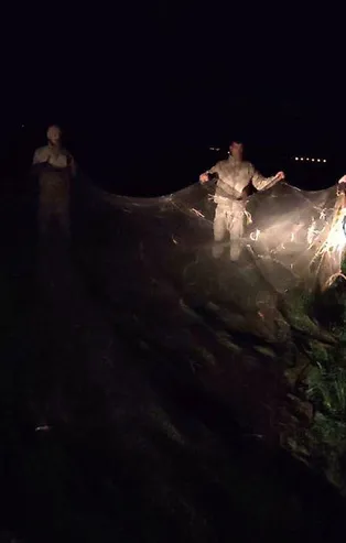 Van'da kaçak avlanan 16 ton 200 kilo inci kefali ele geçirildi