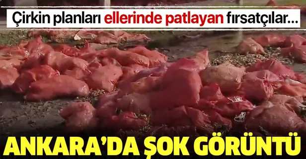 Çirkin planları ellerinde patlayan fırsatçılar tonlarca soğanı çürümeye bıraktı
