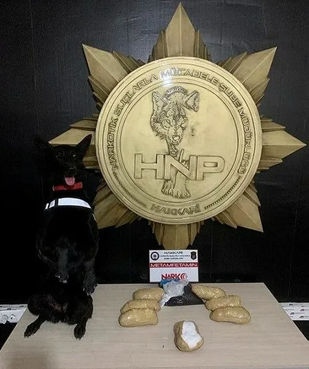 Hakkari'deki 142 kilogram eroin ele geçirildi: Piyasa değeri 35 milyon 250 bin lira-6