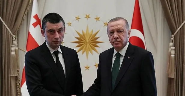 Başkan Erdoğan, Gürcistan Başbakanı Gakharia'yı kabul etti