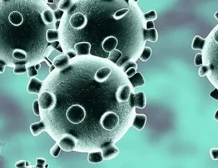 Koronavirüsü nedir? Corona virüsü belirtileri nelerdir?
