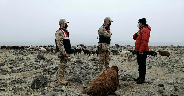 Iğdır'da 80 koyunu çalan 6 hırsız yakalandı