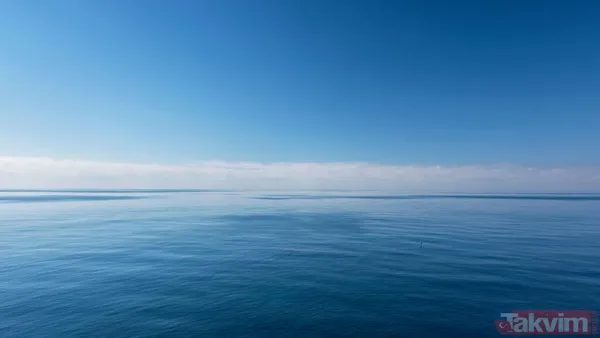 Titanic böyle yapılsaydı batmaz mıydı? Bilim dünyasını heyecanlandıran örümcek taktiği - 8