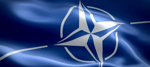 Erdoğan tepki gösterdi, NATO o subayı ordudan attı