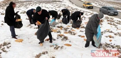Erzurum esnafı ’kaza bela def olsun’ diye doğaya 2001 ekmek bıraktı
