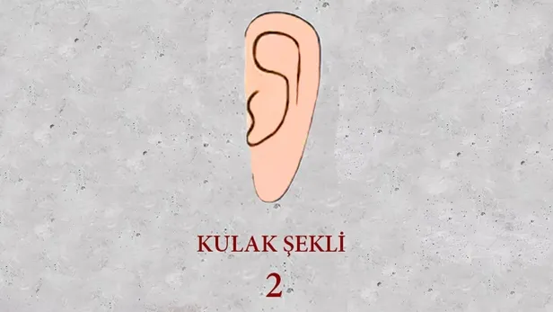 1696929090392.jpeg Kulak şekli ile kişilik arasında ilginç bağlantı keşfedildi! Kulak şekliniz 2. görseldeki gibiyse yandınız!-3