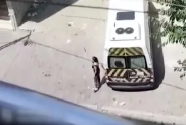 Esenyurt'ta başıboş köpeklerin toplandığını görünce bıçakla sokağa indi! Tehditler savurdu