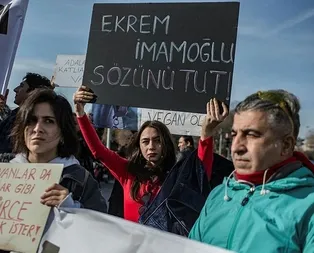 İBB önünde protesto: Atların kanları İBBnin elinde!