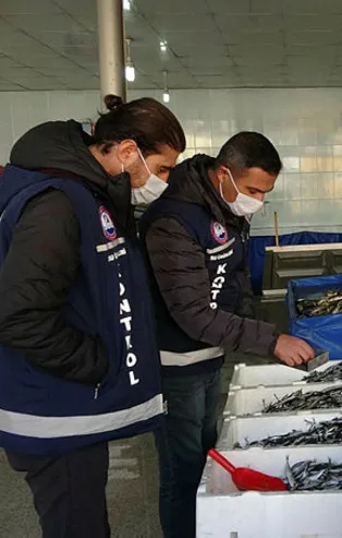 Van'da balon balığı yiyen kişi hayatını kaybetti! Ekipler alarma geçti