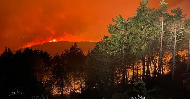 Yangınların Z raporu! Hasar tespit çalışmaları devam ediyor | Hangi ilde kaç konut hasarlı?