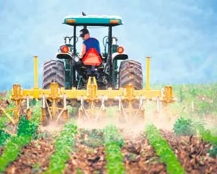 Sebze-meyvede aracı vurgunu!