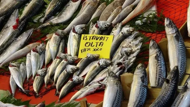5 Mayıs balık fiyatları ne kadar? İstanbul Balık Hali güncel fiyat listesi! Dip, pelajik, iç balık, diğer deniz ürünleri kaç TL'den satılıyor?-3