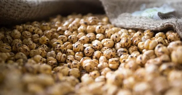 Leblebi sadece atıştırmalık değil: Tam bir şifa kaynağı