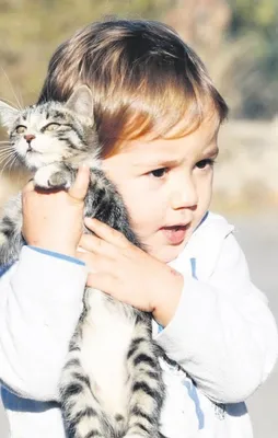 Poyraz ‘ışık’ oldu