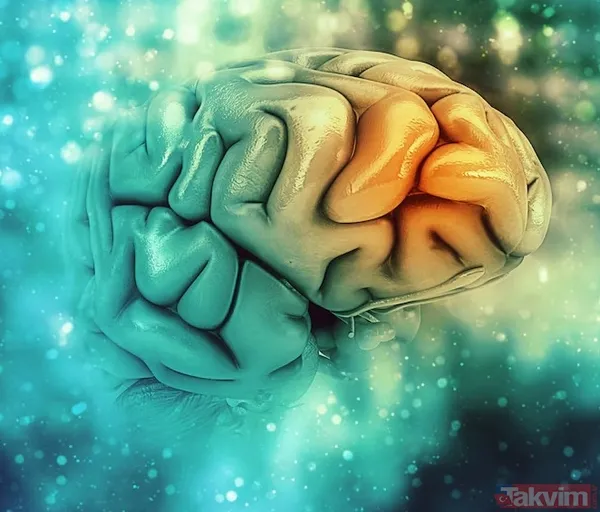 📌 Retinadaki Değişimler Ne Anlama Geliyor? Retina İncelmesi, Bulanık Görme, Işık Çakmaları, Görsel Lekeler Ve Renk Algısında Değişiklikler Gibi Belirtilerle...