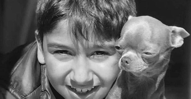 CHP'li Başkan Yardımcısı'nın çarptığı çocuk hayatını kaybetti! Kazanın ardından serbest bırakıldığı öğrenildi