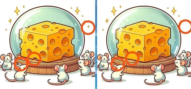 Peynire bakan fareler arasındaki 3 farkı yalnızca yüksek IQ'su olanlar 8 saniyede buluyor! Henüz çözebilen babayiğit çıkmadı!-4