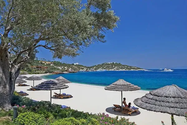 1 porsiyon kiraz 36 TL, 1 şişe su 16 TL...Bodrum beach'lerindeki kazık balık restoranlarına sıçradı-6